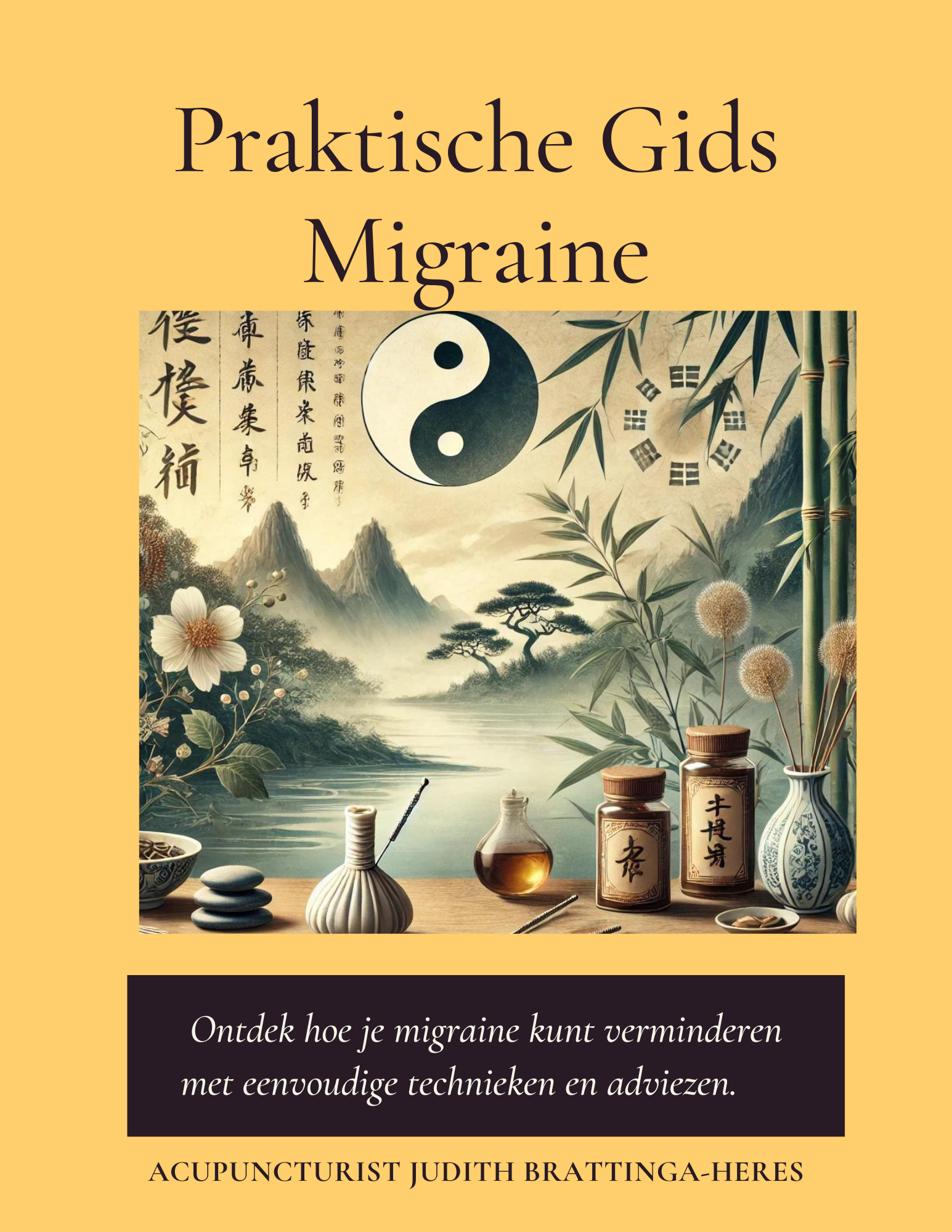 Practische Gids Migraine