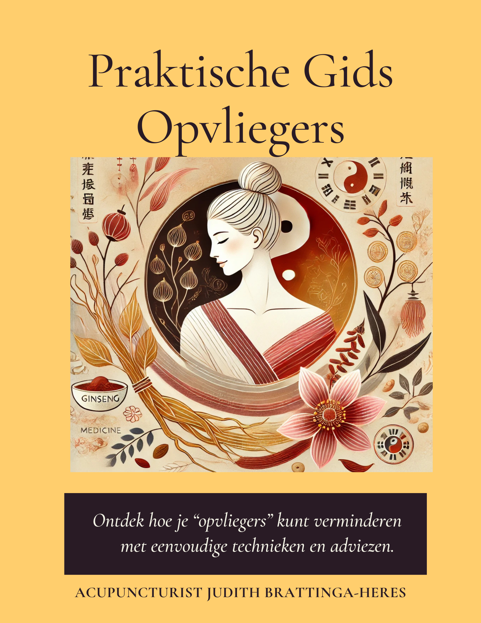 Praktische Gids Opvliegers