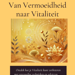 Praktische Gis van Vermoeidheid naar Vitaliteit